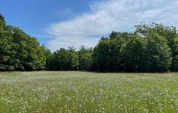 10652 N River Road, Irons, MI 49644