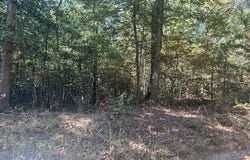 Shaw Bridge Road, Benton, AR 72015
