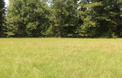 Billstown Road, Delight, AR 71940
