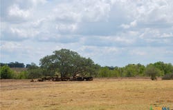 Tract 3 County Road 366, Shiner, TX 77984