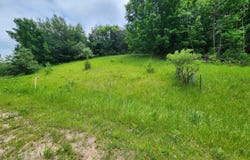 Deer Ridge Trail, Beulah, MI 49617