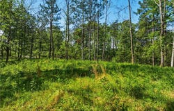 Summit Drive lot: 2, Dahlonega, GA 30533