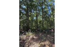 27 Cushetunk Drive, Narrowsburg, NY 12764