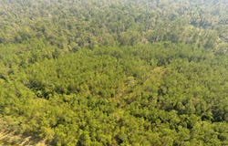 Camanche Road, Ragley, LA 70657