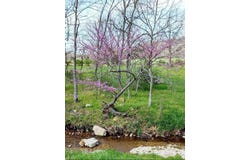 2670 County Road 132, Wasola, MO 65773