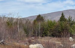 29 Haviture Way, Denmark, ME 04022