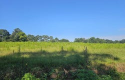 23 Bridge Road, Arab, AL 35016