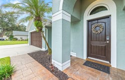 12417 WINDSWEPT Avenue, RIVERVIEW, FL 33569