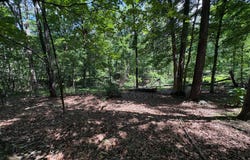 16 ROLLING ACRES Drive, OLD FIELDS, WV 26845