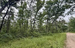 VL Princeton Drive, Baldwin, MI 49304