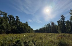 ON PENNINGTON RD, Prentice, WI 54556