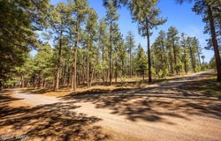 County Road 2325, Alpine, AZ 85920