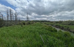 M-48, Pickford, MI 49774