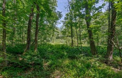 Piscataqua Road, Dover, NH 03820