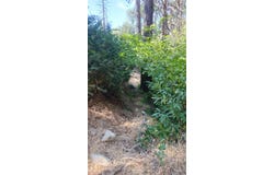 Mariposa Drive, Pierpoint Springs, CA 93265