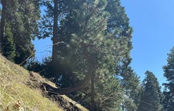 North Road, Twin Peaks, CA 92391
