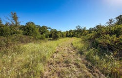 6725 E Windy Ln, Atoka, OK 74525