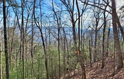 Briarwood Road, Webster, NC 28788