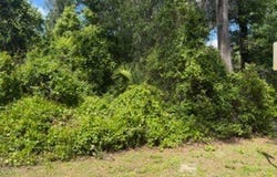 6475 E Seneca Street, Inverness, FL 34452