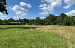 CR 44240, Powderly, TX 75473