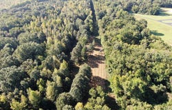 390 Old Panola Rd, Sardis, MS 38666