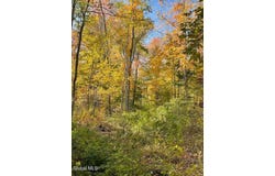 L11 Gates Road, Eagle Bridge, NY 12057