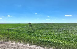 715 ROAD M, Saint Francis, KS 67756