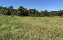 Middletown Road, Fairmont, WV 26554