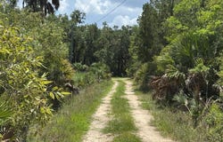 SW 595th Ave, Horseshoe Beach, FL 32648