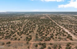 4189 Sorrel Road, Snowflake, AZ 85937