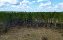 35 Thompson Lane, Carriere, MS 39426