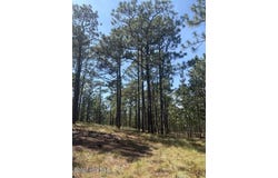 Carthage Road, West End, NC 27376