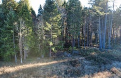 188 PISQUALLY Ln, Azalea, OR 97410