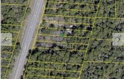 7338 TREIMAN Boulevard, WEBSTER, FL 33597