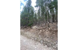 5 Forest View Rd, Cloudcroft, NM 88317