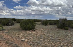 8 County Road 8080, Concho, AZ 85924