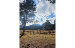 8152 Pine Dr, Rye, CO 81069
