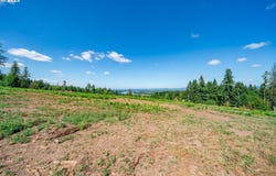 S Silver Lake Rd, CastleRock, WA 98611