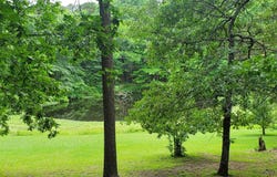 288 Polk Road 57, Mena, AR 71953
