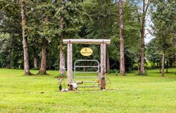 6432 Divider and Natchez Trace Rd, CAMDEN, TN 38320
