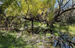 Pitchfork Ranch, Silver City, NM 88061