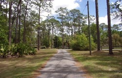 8342 N Pine Haven Point, Crystal River, FL 34428