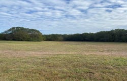 near 16123 County Road 9, Fitzpatrick, AL 36029