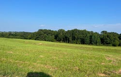 53 Hwy, Clayton, AL 36016