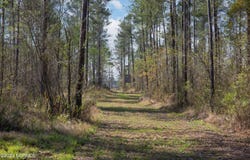 Nc-903, Stokes, NC 27884