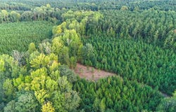 COUNTY ROAD 28, LAFAYETTE, AL 36862