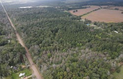 Mississippi 35, Forest, MS 39074