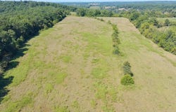 County Rd 132, Norwood, MO 65717