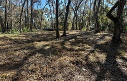 83rd St, Old Town, FL 32680