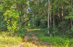 1 Burt Mill Road, Tallassee, AL 36078